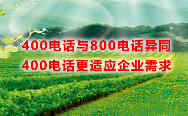 400電話(huà)與800電話(huà)優(yōu)勢(shì)對(duì)比